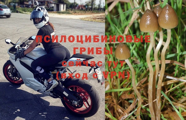 2c-b Абаза